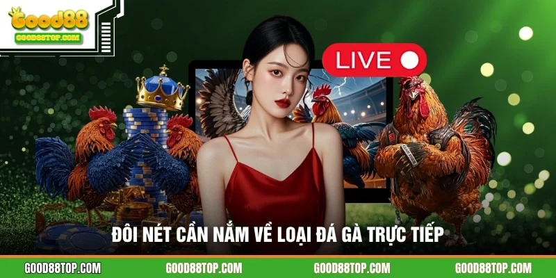 Đôi nét cần nắm về loại đá gà trực tiếp
