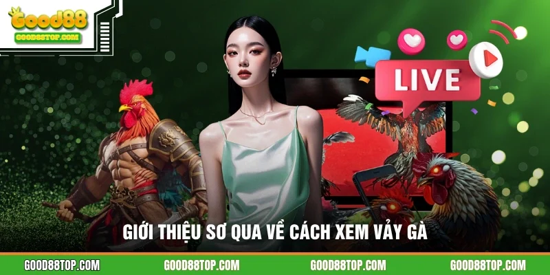 Giới thiệu sơ qua về cách xem vảy gà
