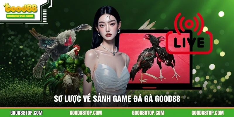 Sơ lược về sảnh game đá gà GOOD88