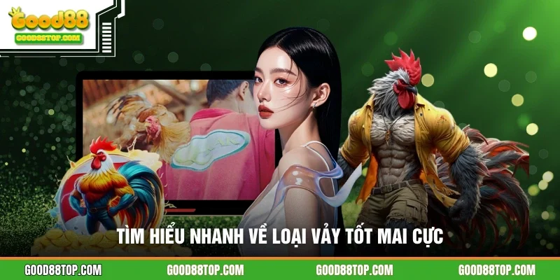 Tìm hiểu nhanh về loại vảy tốt Mai cực