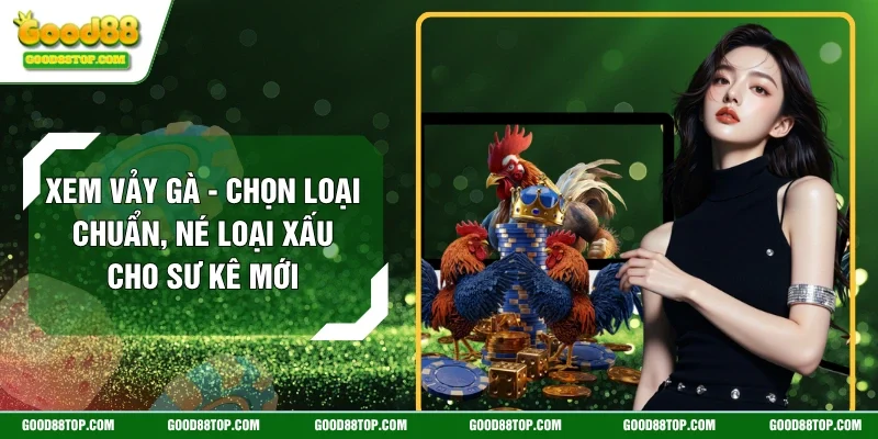 Xem Vảy Gà - Chọn Loại Chuẩn, Né Loại Xấu Cho Sư Kê Mới